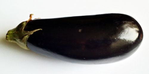 Aubergine