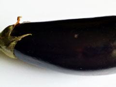 Aubergine