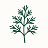 Dill