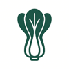 Pak choi