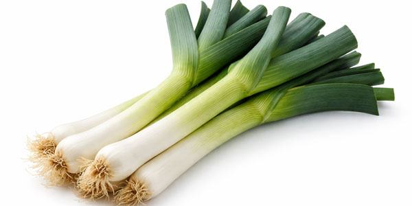 Purjolök