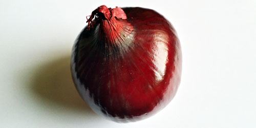 Röd lök hel